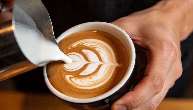 Barista pouring latte art rosetta into ceramic cup close-up hands creating foam design