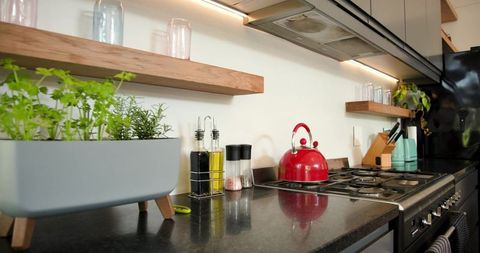 Stylish Modern Kitchen with Red Kettle and Herb Planter