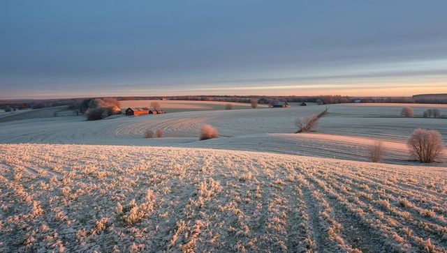 Frost-covered farmland at dawn with glowing barns and parallel stubble lines