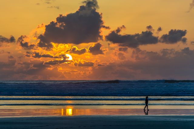 Silhouette of Person Walking on Seashore during Sunset - Download Free Stock Photos Pikwizard.com