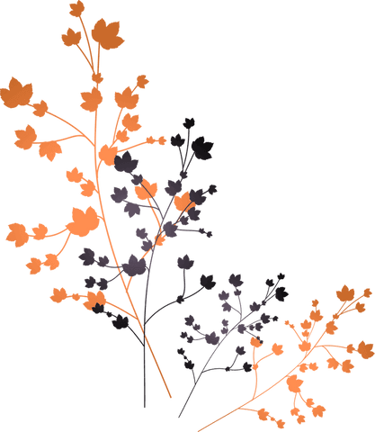 transparent floral illustration with orange and purple blossoms - Download Free Stock Videos Pikwizard.com