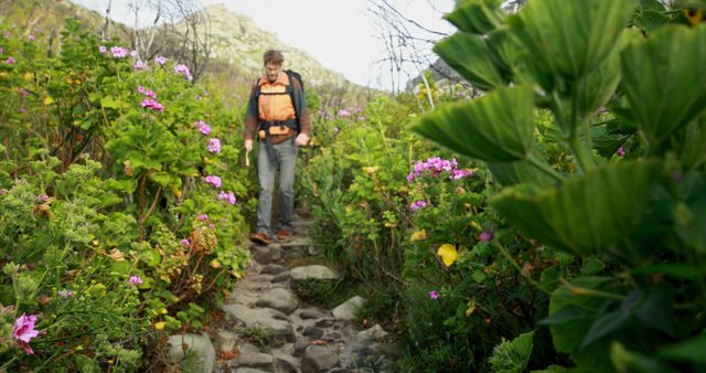 Man hiking through a vibrant forest trail surrounded by lush greenery and colorful flowers. Ideal for travel blogs, outdoor activity promotions, adventure magazines, and fitness lifestyle content. Captures the essence of exploration and the beauty of nature in spring.