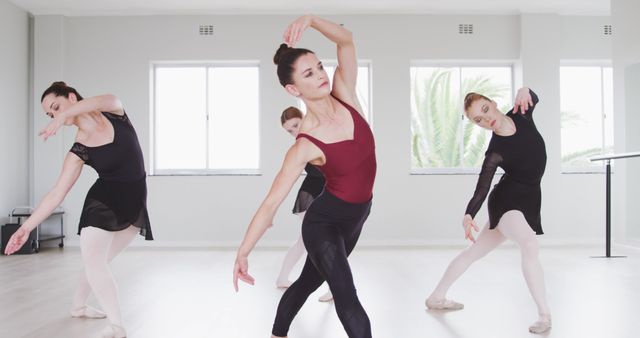 Ballet Dancers Practicing in Bright Studio - Download Free Stock Images Pikwizard.com