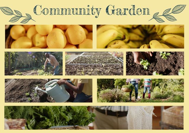 Fresh Produce and Gardening Activities in Community Garden - Download Free Stock Videos Pikwizard.com