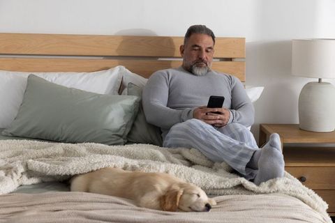 Middle-aged man relaxing in bed with smartphone and sleeping puppy during cozy morning routine