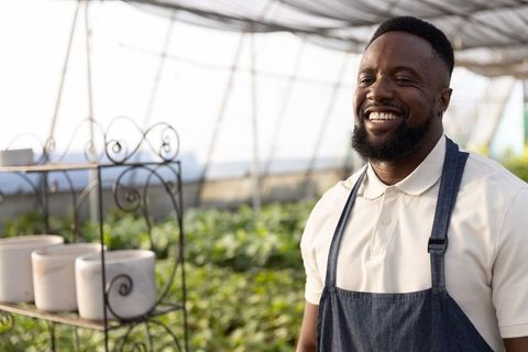 African american gardener smiling in sunlit greenhouse wearing denim apron near plant rack