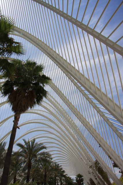 Modern Architectural Structure with Palm Trees and Blue Sky - Download Free Stock Photos Pikwizard.com