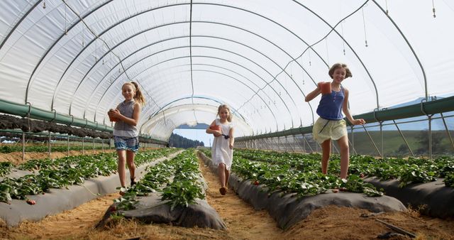 Children picking strawberries in an indoor farm or greenhouse area, running happily between rows of plants. Ideal for promoting family activities, sustainable farming practices, agricultural investments, and healthy lifestyle choices.