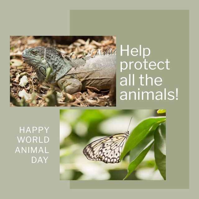 Visual presents a text message encouraging animal protection featuring an iguana and butterfly image. Ideal for promotional materials, social media campaigns, and educational content aimed at wildlife conservation and raising awareness about environmental protection.
