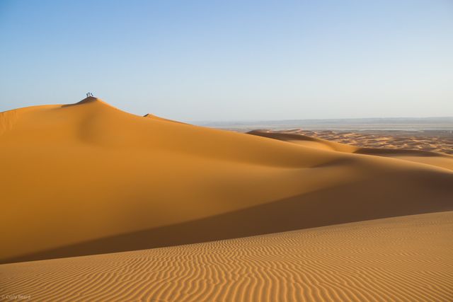 Golden Sand Dunes in Majestic Desert Landscape with Clear Sky - Download Free Stock Photos Pikwizard.com