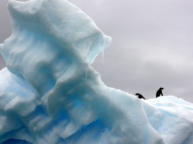 Penguins standing on top of a beautifully sculpted iceberg with a dramatic cloudy sky. Ideal for illustrating the pristine, untouched environments of Antarctica and wildlife in their natural habitat. Suitable for use in educational materials, environmental campaigns, nature documentaries, travel promotions, and climate change awareness.