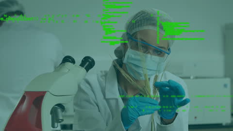 Female Scientist Analyzing Crop with Data Overlay in Laboratory