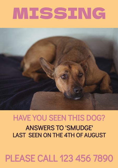 This missing poster features a close-up of a dog named Smudge lying on a cozy surface. The poster has an orange background with prominent text asking if anyone has seen the missing dog, along with contact details and the date Smudge was last seen. Ideal for use in pet recovery operations, community boards, social media posts, and neighborhood flyers to quickly capture attention and assist in locating the lost dog.