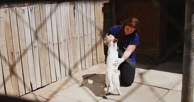 Woman volunteer is caring for a small dog next to a wooden fence at animal shelter. She is wearing gloves and crouching to comfort the dog. This image is ideal for illustrating animal care, volunteering, shelters, and compassion themes in articles, websites, or social media posts.