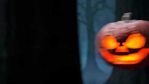 Mysterious Jack-O'-Lanterns In Enchanted Foggy Forest