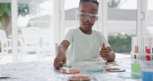 This image shows a young girl wearing safety goggles, conducting a science experiment at home using petri dishes. Ideal for educational content, STEM activity promotions, children's educational materials, and promoting curiosity in science for young audiences.