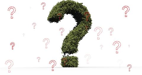 green topiary question mark with simple white background - Download Free Stock Images Pikwizard.com