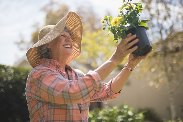 This image depicts a joyful senior woman holding a potted plant while gardening outdoors. She is wearing a wide-brimmed hat and a plaid shirt, enjoying a sunny day. This image can be used for promoting healthy lifestyles, gardening hobbies, retirement activities, and outdoor leisure.