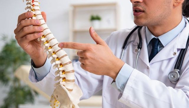 Doctor demonstrating spine and pelvis model for orthopedic education and patient consultation