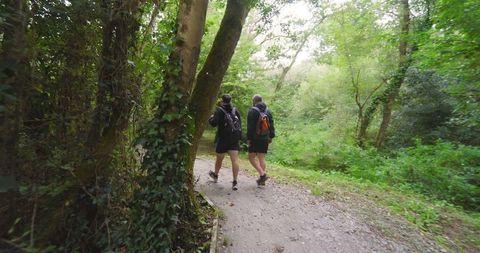Couple Hiking Forest Trail Enjoying Outdoor Adventure - Download Free Stock Images Pikwizard.com