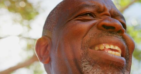 Close-Up Portrait of Smiling Senior African American Man in Tranquil Garden