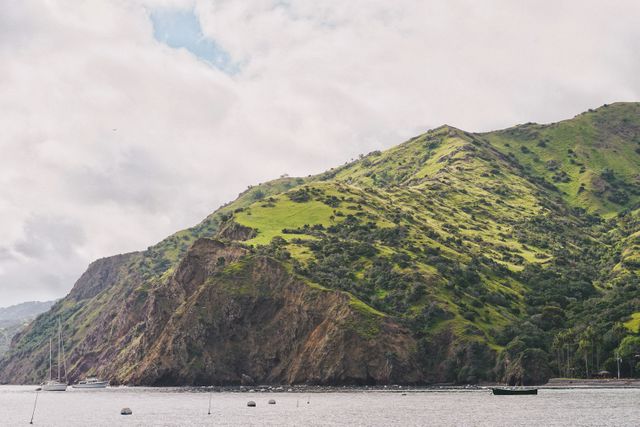 Lush green hillside along the coast with scattered boats on calm ocean waters. Overcast sky adds to the serenity of the scene. Ideal for travel brochures, nature calendars, and wallpaper backgrounds.
