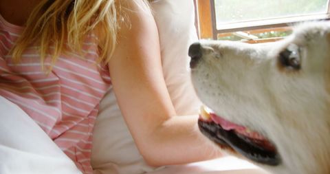 Teenager Bonding with Big Dog Indoors