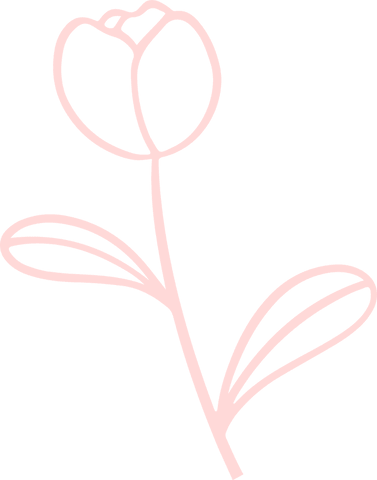 minimalist floral line art on transparent background - Download Free Stock Videos Pikwizard.com