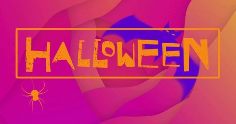 Vibrant grunge halloween banner with orange frame spider bat swirl background
