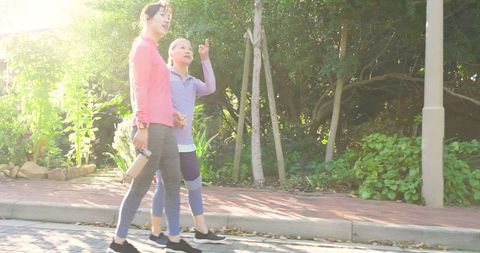 Female Friends Enjoying Stroll in Sunlit Park, Embracing Nature and Wellness