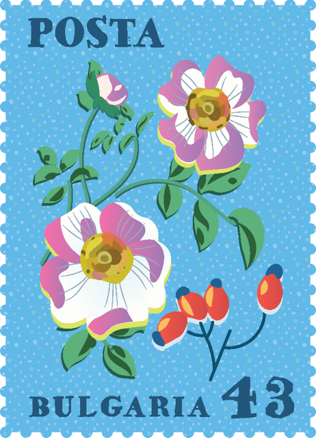 Bulgarian Flora Postage Stamp on Transparent Background with Colorful Flowers - Download Free Stock Videos Pikwizard.com