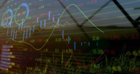 Biophilic data visualization integrating stocks and nature