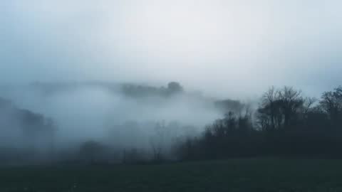Spreading Low-Lying Fog Rolling Through Rural Valley at Dawn with Silhouetted Trees