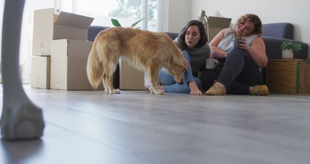 Couple sitting in living room surrounded by moving boxes, playing with dog. They are relaxing on floor, drinking coffee, enjoying moment. Ideal for depicting moving day, new home, home life setting, pet-friendly living, young couple lifestyle content.