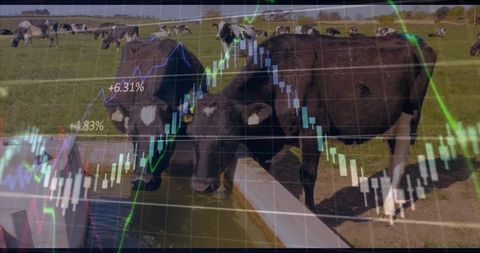 Financial analysis in agriculture: stock market graph with livestock