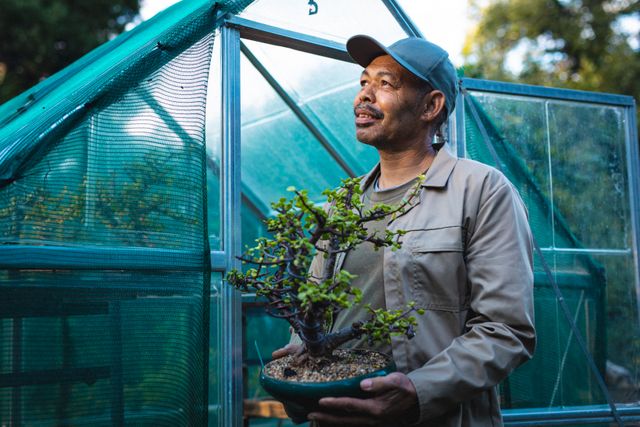 Senior African American male gardener standing outside greenhouse, holding a bonsai plant. Ideal for content related to horticulture, gardening, small business, plant care, and independent nurseries.