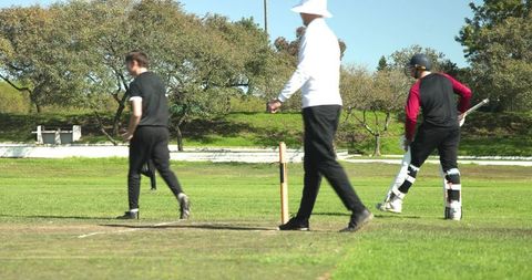 Cricketers Practicing on Sunny Day in Scenic Park