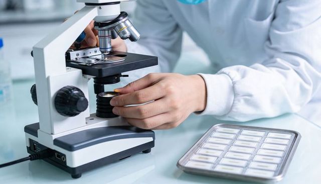 Laboratory technician adjusting microscope slide during specimen analysis in clinical lab