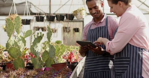 Diverse horticulturists using tablet in greenhouse with desert plants