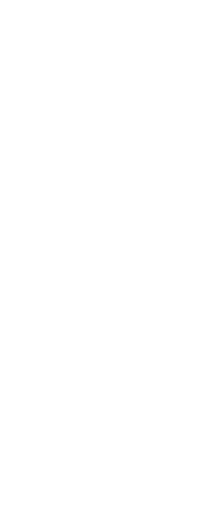 Transparent Silhouette of Rugby Player Holding Rugby Ball