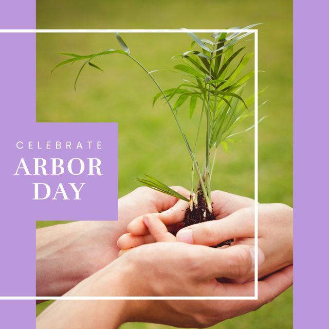 Hands Holding Seedling Tree Celebrating Arbor Day for Environmental Awareness - Download Free Stock Templates Pikwizard.com