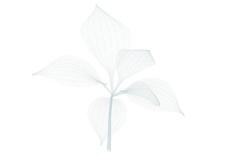transparent plant vector illustration on clear background - Download Free Stock Videos Pikwizard.com