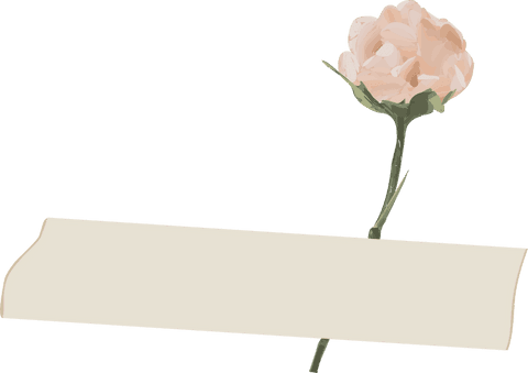 Pastel Banner With Pink Peony on Stem Transparent Background