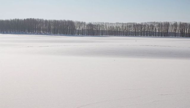 Expansive Minimal Winter Landscape with Snow-Covered Plain, Bare Treeline, Distant Figure