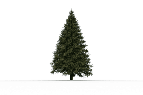 Transparent Christmas Tree Digital Illustration on Isolated Background - Download Free Stock Videos Pikwizard.com