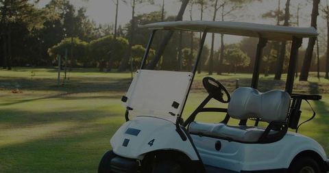 Relaxing golf cart under sunlit pine trees on scenic fairway