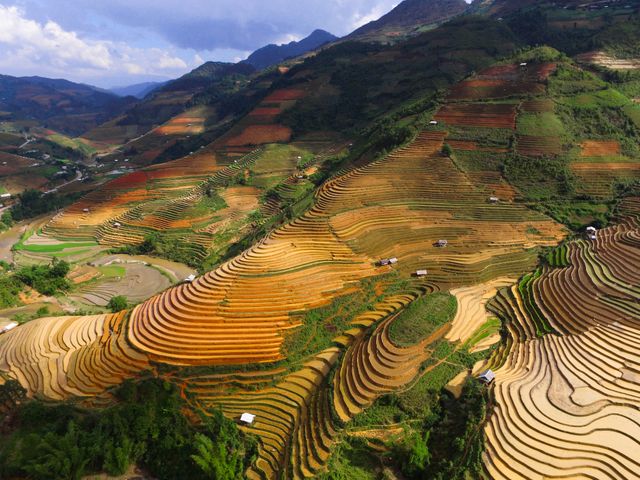 Aerial shot captures lush green and golden rice terraces cascading down rolling mountainous hills, showcasing agricultural beauty and harmony with nature. Ideal for use in travel brochures, environmental awareness campaigns, agricultural studies, and scenic calendars.