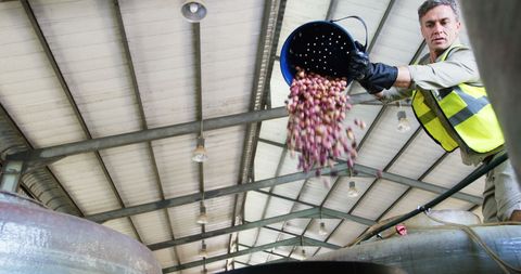 Worker pouring nuts in industrial facility focused on task
