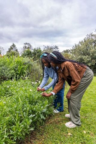 African american teenage girls bending and examining white flowers in park garden