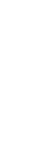 Transparent Silhouette of American Football Player Standing